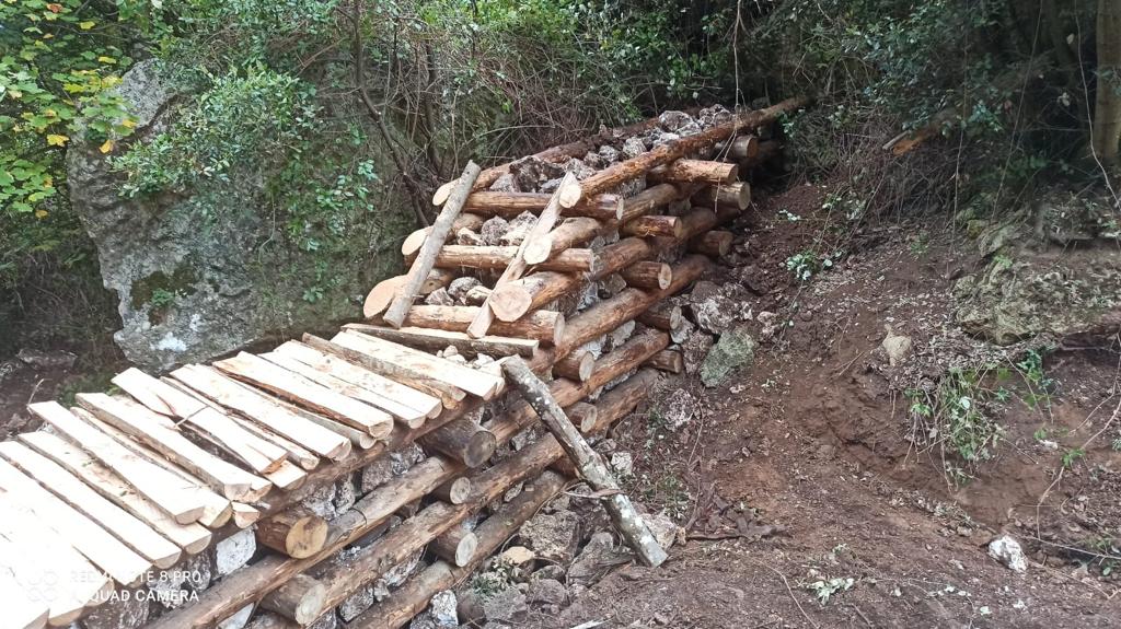 Interventi selvicolturali Valle delle Vecchia